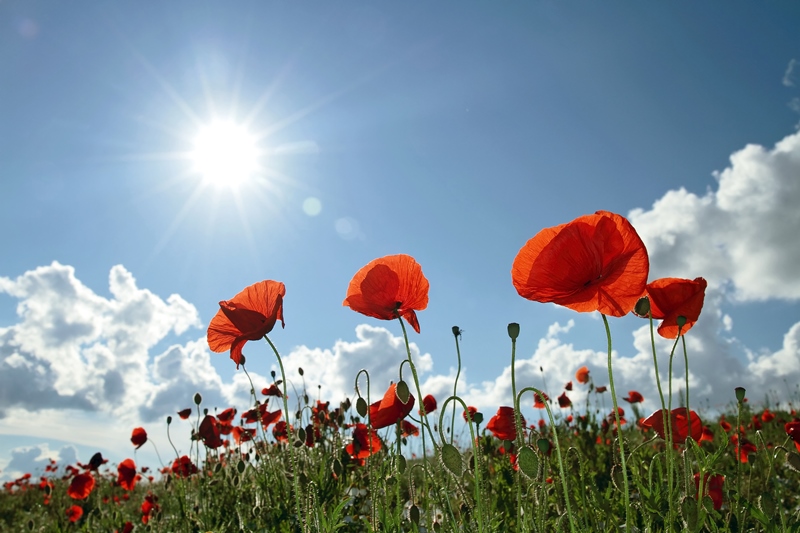 Remembrance through technology - The Co-operative Funeralcare